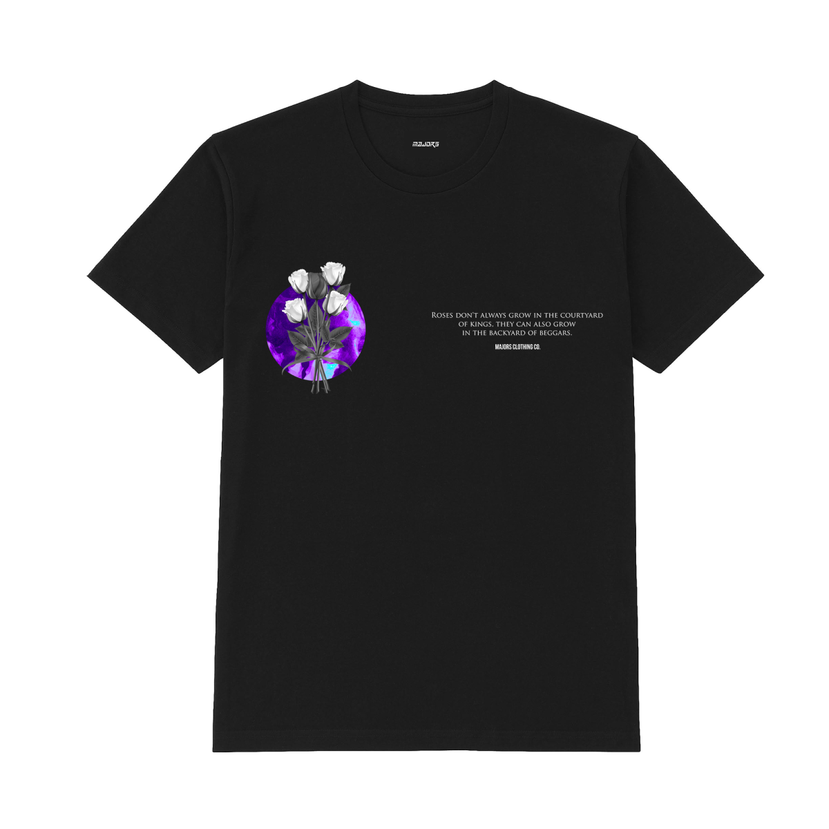 ts1.png